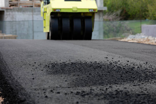 Best Professional Driveway Pavers  in Egypt, AL