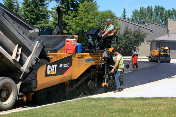 Best Concrete Paver Driveway  in Egypt, AL