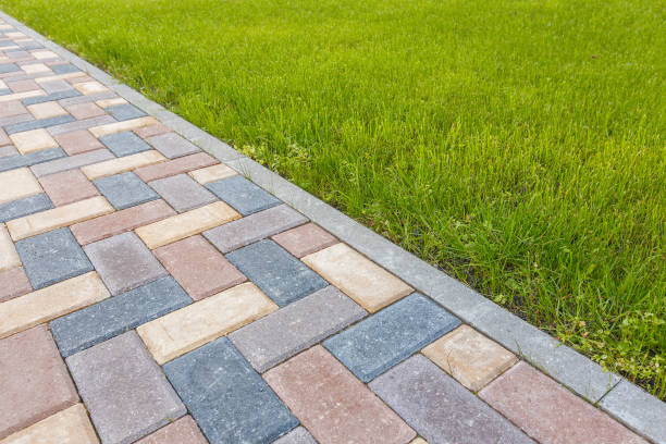 Best Driveway Paving Near Me  in Egypt, AL